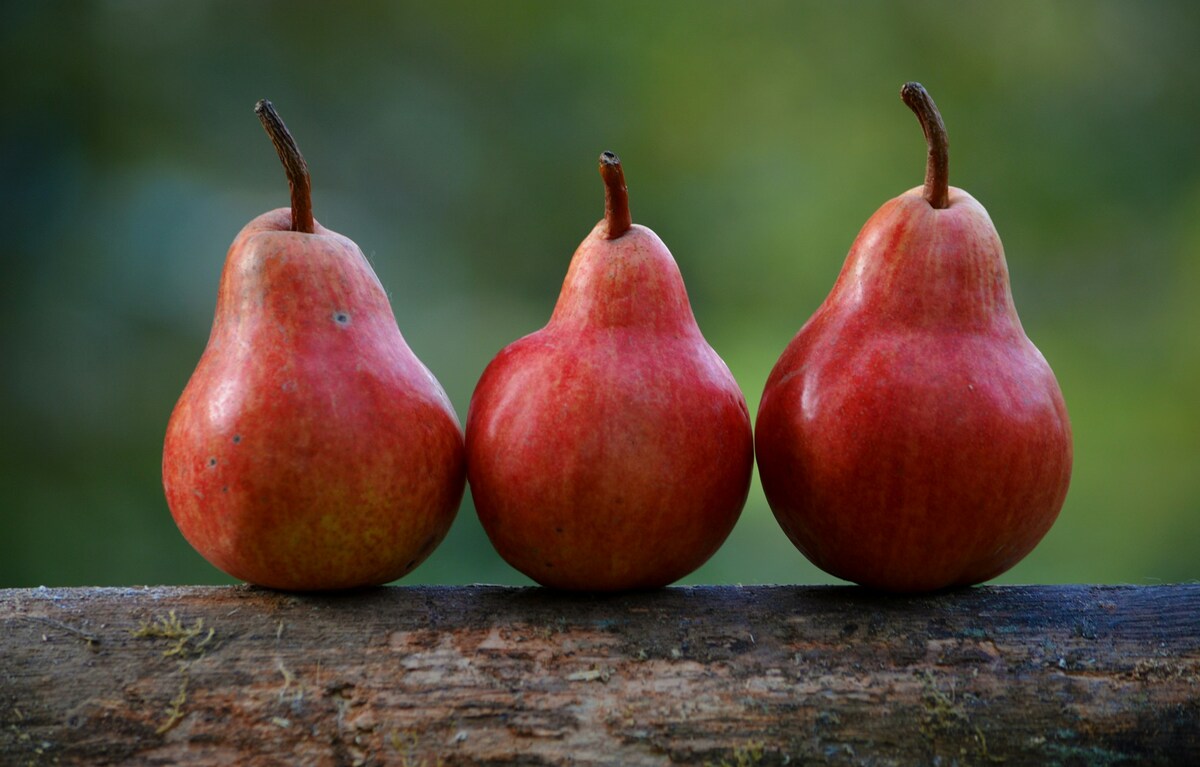 Obst